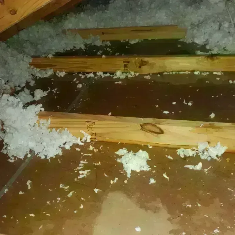 Attic Water Damage in Cooperstown, WI